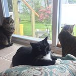 Fender, Melody & Edwin - @fendermelodyedwin - Instagram