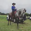 Edwin Fermin - @edwinfermin36 - TikTok