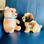 Edwin Fine man - @tammy__49235 - Instagram