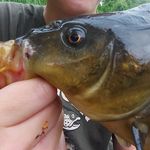 edwin - @fishing.with.edwin - Instagram