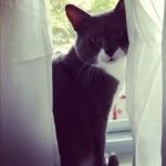 Edwin Gray Fitzgerald - @supreme_sourcream_taco - Instagram
