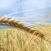 EdwinFitzgerald - @user11612165712410 - TikTok