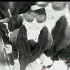 edwin flowers - @edwinflowers3 - TikTok