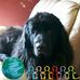 Ed Flynn - Facebook