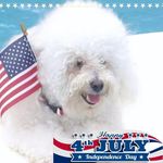 Michael Edwin Flynn - @conwaysdad - Instagram