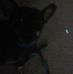 Edwin Fogleman - Facebook
