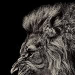Edwin David Forbes Rivas - @edwindavidforbes - Instagram