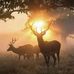 Ed Foreman - Facebook