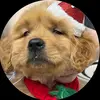 Forest Edwin - @forest.edwin - TikTok