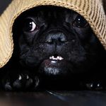 Edwin - @edwinfrenchrd - Instagram