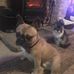 Edwin French - Facebook