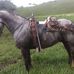 Edwin Camilo Sarmiento Garzon - Facebook