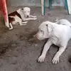 Edwin Galan - @edwin.galan4 - TikTok