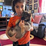 Edwin Galeas - @edwingaleas40yahoo - Instagram
