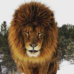 Edwin galeas - @edwin.galeas.guardado - Instagram