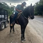 Edwin Miramontes Gallegos - @edwin_gallegos_25 - Instagram