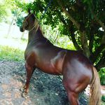 edwin  gamero - @lavictoria273 - Instagram