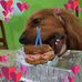 Edwin Garrido - Facebook