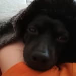 Gerberedwin2006 - @gerberedwin2006 - Instagram