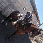 Edwin Gurrola Arellano - @edwingurrolaarellano - Instagram