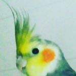 Edwin_Hammarlund - @edwin_hammarlund - Instagram