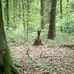 Edwin Harvey - Facebook