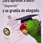 EDWIN HARVEY SANCHEZ GUTIERREZ - @edwinharveysanchezgutierrez - Instagram