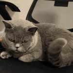 Edwin Hermann - @edwin837576 - Instagram