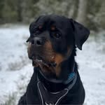 Edwin Janssen - @edwinjanssen666 - Instagram