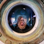 Edwin Janssen - @edjan600 - Instagram