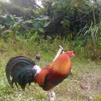 Edwin Jimenez - Facebook
