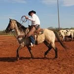 Edwin Johnston - @edwin_johnston - Instagram