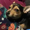 jonahedwinjordan - @jonahedwinjordan - TikTok