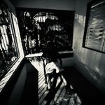 Edwin Jose - @etaverasgomez - Instagram