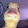 Edwin Jovel - @edwin233346 - TikTok