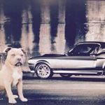Edwin Joya - @ejoya1979 - Instagram