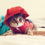 Edgar - @edwin_christian_kaiser - Instagram