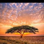 Edwin Kasper - @kasper.edwin - Instagram