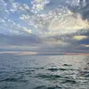 Edwin Keck - @edwinkeck_6743 - TikTok
