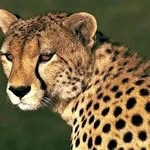 Edwin kemboi - @kemboi5870 - Instagram