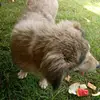 Edwin Kemboi - @edwin.kemboi78 - TikTok