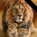 Edwin Kennedy - Facebook