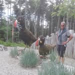 Edwin Kent Gillin - @edwinkentgillin - Instagram