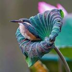 Edwin Kipkorir - @edwin.kipkorir05 - Instagram