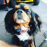 Edwin Kline - @edwin.kline.73 - Instagram