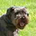 Edwin Knoblauch - Facebook