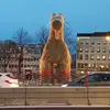 Edwin koch - @edwin_koch - TikTok