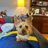 EdwinLancaster - @edwinlancaster - TikTok