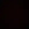 Leonardo🦦 - @edwin.leonardo.fl - TikTok