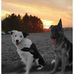 Edwin Leslie - Facebook